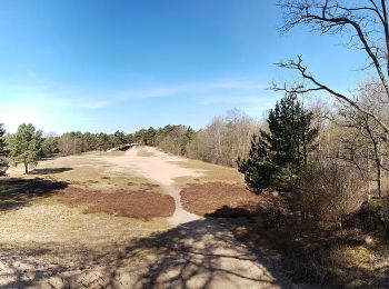 Percorso A piedi Geesthacht - Düneberger Sandberge, Rundweg 5 km - Photo