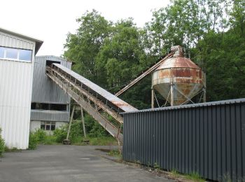 Excursión A pie Olsberg - Wulmeringhausen Rundweg W1 - Photo