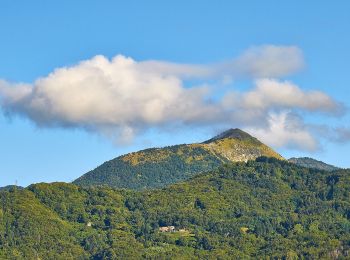 Tour Zu Fuß Castiglione Chiavarese - Santuario di Velva - Monte Alpe - Photo