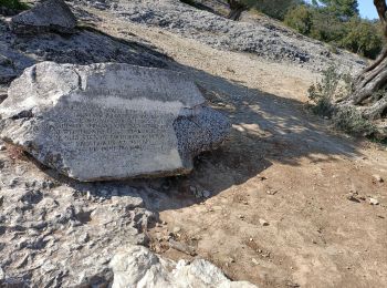 Trail Walking Sernhac - sernhac pont du gard - Photo