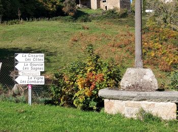 Randonnée Marche Ceilloux - Ceilloux 091022 - Photo