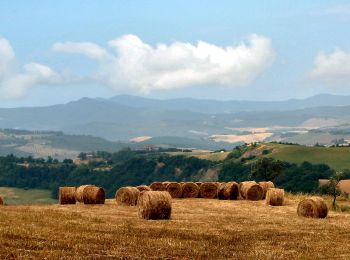 Tocht Te voet Volterra - Dolce campagna, antiche mura 23 - Photo