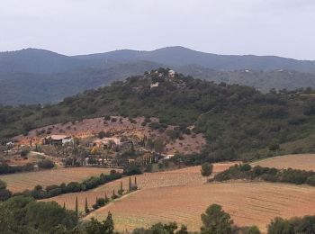 Trail Walking La Londe-les-Maures - Notre Dame des Maures-12-02-21 - Photo