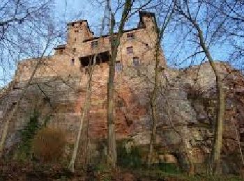 Trail Mountain bike Climbach - De Climbach au château du Hans Traap. - Photo