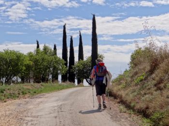 Tour Wandern Alès - Rome-14-Alès-Vézénobres-20150901 - Photo