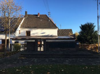 Tour Zu Fuß Mechernich - Wachendorf Rundweg 4 - Photo