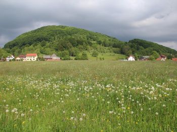 Tour Zu Fuß Poppenhausen - Rhön-Rundweg 9 Wachtkueppel - Photo