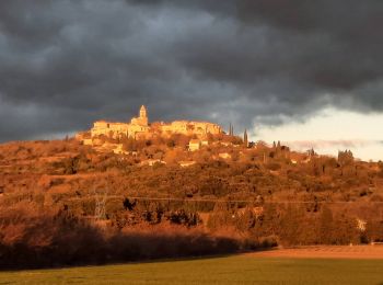 Randonnée Marche La Garde-Adhémar - La Garde-Adhémar 13km - Photo