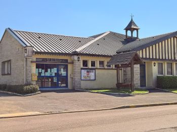 Randonnée A pied Criquiers - Le Bois des Puits - Photo