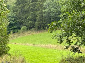Tocht Stappen Amel - Herresbach - Photo