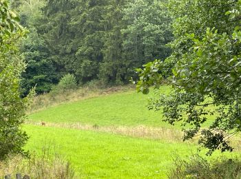 Tour Wandern Amel - Herresbach  - Photo