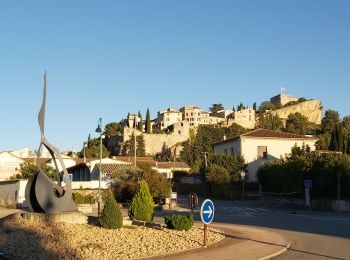 Tour Wandern Vaison-la-Romaine - Vaison la Romaine - La colline de Mars - Photo