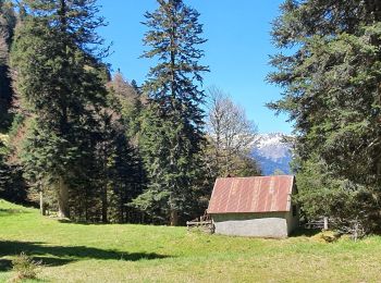 Percorso Marcia Sode - cabane de Plan Pouné, par refuge de Cualot - Photo