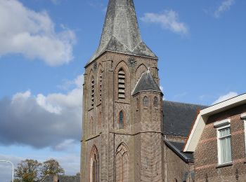 Randonnée A pied Dalfsen - WNW Vechtdal - Lemelerveld - rode route - Photo