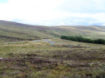 Tocht Te voet The Municipal District of Wicklow - Saint Kevin's Way - Photo