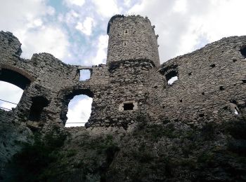 Tour Zu Fuß Podzamcze - Karlin - Siamoszyce - Photo