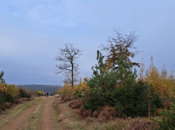 Tocht Stappen Rendeux - Marche ADEPS Marcourt - Photo