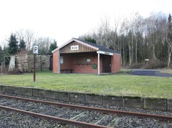 Randonnée A pied Gnarrenburg - Nordpfad Eichholz und Franzhorn - Photo