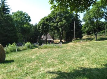 Tour Wandern Cros-de-Géorand - Circuit de l'eau. Cross de Georand. Ardèche  - Photo