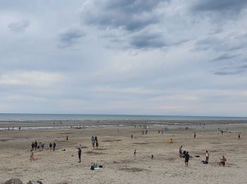 Tour Wandern Quend - quend-plage - Photo