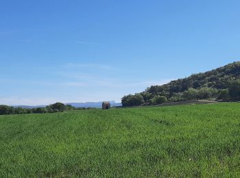 Randonnée Marche Chantemerle-lès-Grignan - gringn1n - Photo