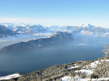 Tocht Te voet Arth - Hinder Dossen - Rigi Klösterli - Photo