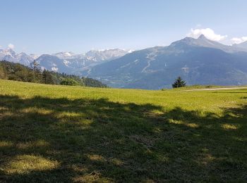 Tour Wandern Feissons-sur-Salins - Feissons sur salins  / Bois du sapey - Photo