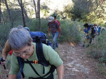 Excursión Senderismo Allauch - pichauris - Photo