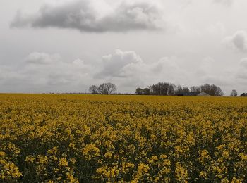 Tour Wandern Mesnil-en-Ouche - Epinay - Photo