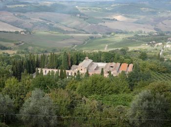 Randonnée A pied Pienza - Sentiero della Via Barlettaia - Photo