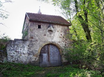 Tocht Te voet Gozdno - niebieski - Photo