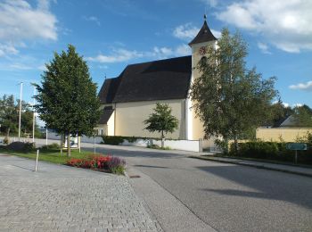 Randonnée A pied St. Stefan-Afiesl - Stifter Panoramasteig - Photo