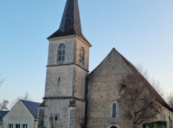 Percorso Marcia Saint-Hilaire-la-Gravelle - Saint-Hilaire-la-Gravelle - Entre Loir et étangs  - Photo