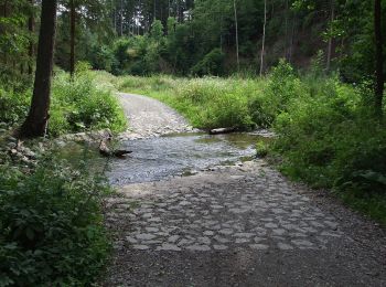 Trail On foot Štěchovice - [Z] Zahořanský důl - Štěchovice - Photo