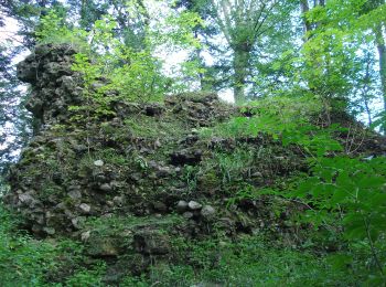 Tour Zu Fuß Bad Endorf - Wanderweg 15 - Bad Endorf - Photo