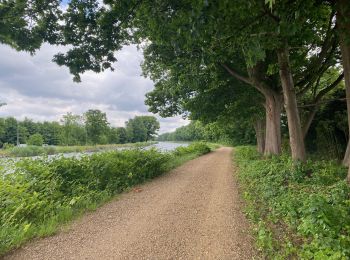 Trail Walking Herentals - De Herentals à Westerlo sur le GR5 - Photo