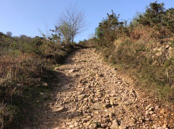 Randonnée Marche Sare - Circuit des trois bornes. Grottes de Sare - Photo