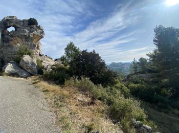 Excursión Senderismo Saint-Rémy-de-Provence - St Rémy - Photo