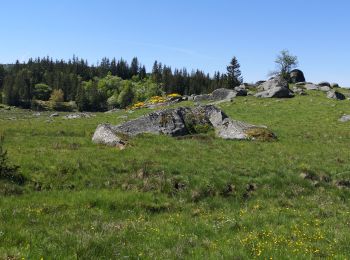 Percorso Marcia Saint-Laurent-de-Muret - la Blatte Aubrac  - Photo