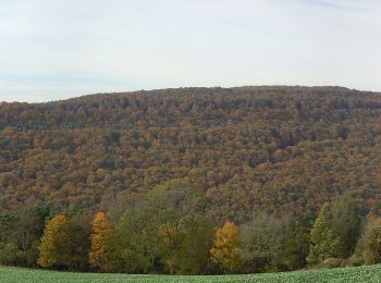 Tour Zu Fuß Flavignerot - Du Naizou au Mont Afrique - Photo