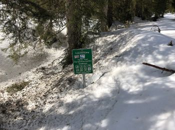 Randonnée A pied Gemeinde Unken - Wanderweg 13 - Reit im Winkl/Heutal - Photo