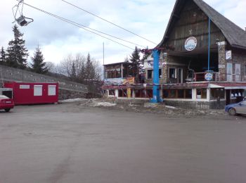 Excursión A pie Sibiu - Păltiniș - Poiana Găujoara - Poiana Muncel - Stație Telescaun - Păltiniș - Photo