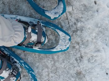 Tour Schneeschuhwandern Réallon - les chalets du Vaucluse - Photo