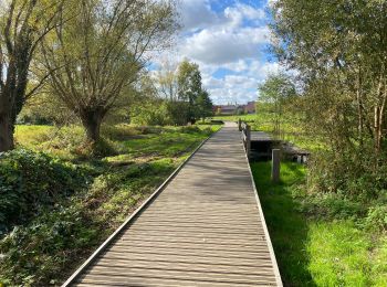 Excursión Senderismo Berchem-Sainte-Agathe - Sint-Agatha-Berchem - Berchem Zellik 9 km - Photo