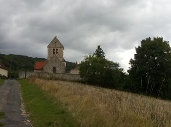 Tocht Stappen Reuilly-Sauvigny - Reuilly-Passy s/Marne - Photo