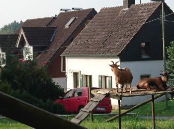 Tocht Te voet Overath - Fischermühle Rundweg A3 - Photo