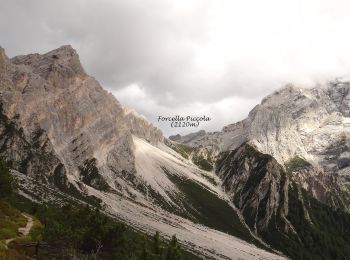 Tour Zu Fuß San Vito di Cadore - IT-227 - Photo