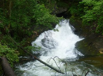 Tour Zu Fuß Ramsau bei Berchtesgaden - Almerlebnispfad - Photo