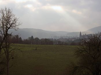 Randonnée A pied Hamoir - Les rives de l'Ourthe vers Comblain-la-Tour - Photo