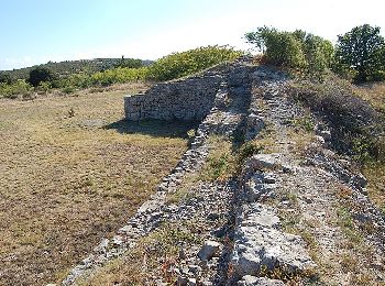 Tour Wandern Lavilledieu - 2024-02-01_17h55m37_Camp de Cesar 17km - Photo